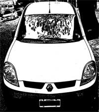 Avatar de Usuario